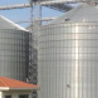 Feed & Poultry